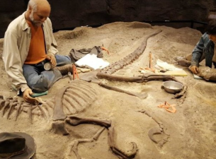 What Can Archaeology Tell Us About Human Origins?